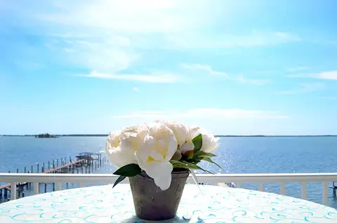 Beso Del Sol Resort — venue photo 4