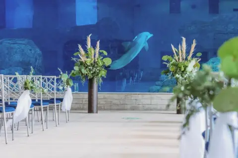 Clearwater Marine Aquarium — venue photo 3