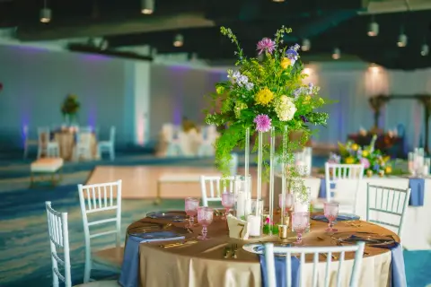 Clearwater Marine Aquarium — venue photo 4