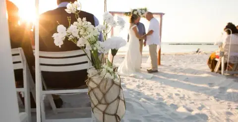 Honeymoon Island State Park — venue photo 4